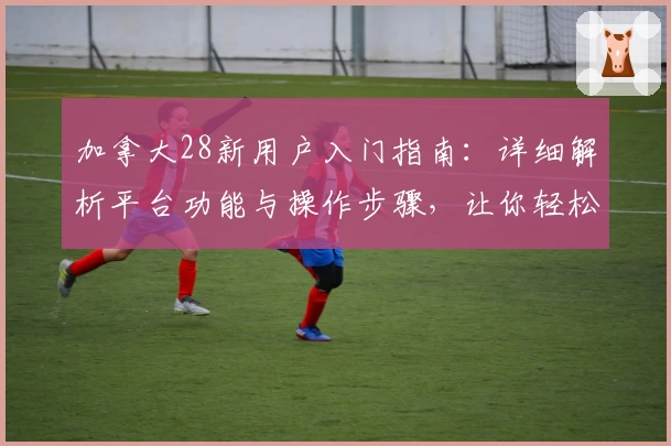 加拿大28新用户入门指南：详细解析平台功能与操作步骤，让你轻松上手