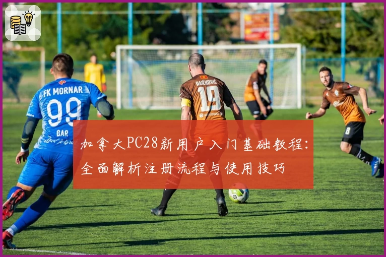 加拿大PC28新用户入门基础教程：全面解析注册流程与使用技巧