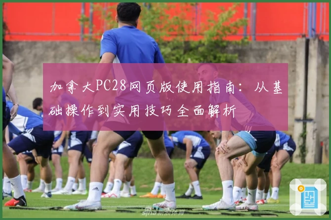 加拿大PC28网页版使用指南:从基础操作到实用技巧全面解析