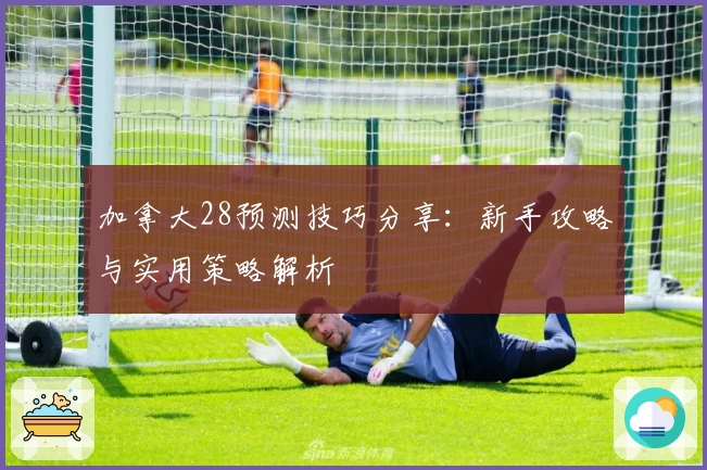 加拿大28预测技巧分享：新手攻略与实用策略解析