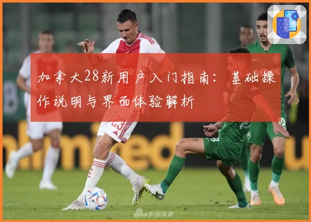 加拿大28新用户入门指南：基础操作说明与界面体验解析