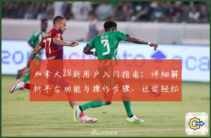 加拿大28新用户入门指南：详细解析平台功能与操作步骤，让你轻松上手