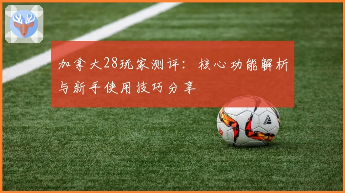 加拿大28玩家测评：核心功能解析与新手使用技巧分享