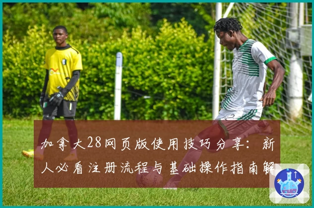 加拿大28网页版使用技巧分享:新人必看注册流程与基础操作指南解析